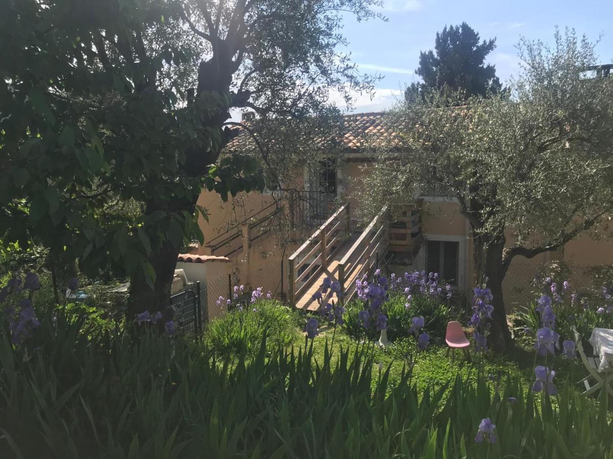 Residence Lou Naouc Grasse Zewnętrze zdjęcie