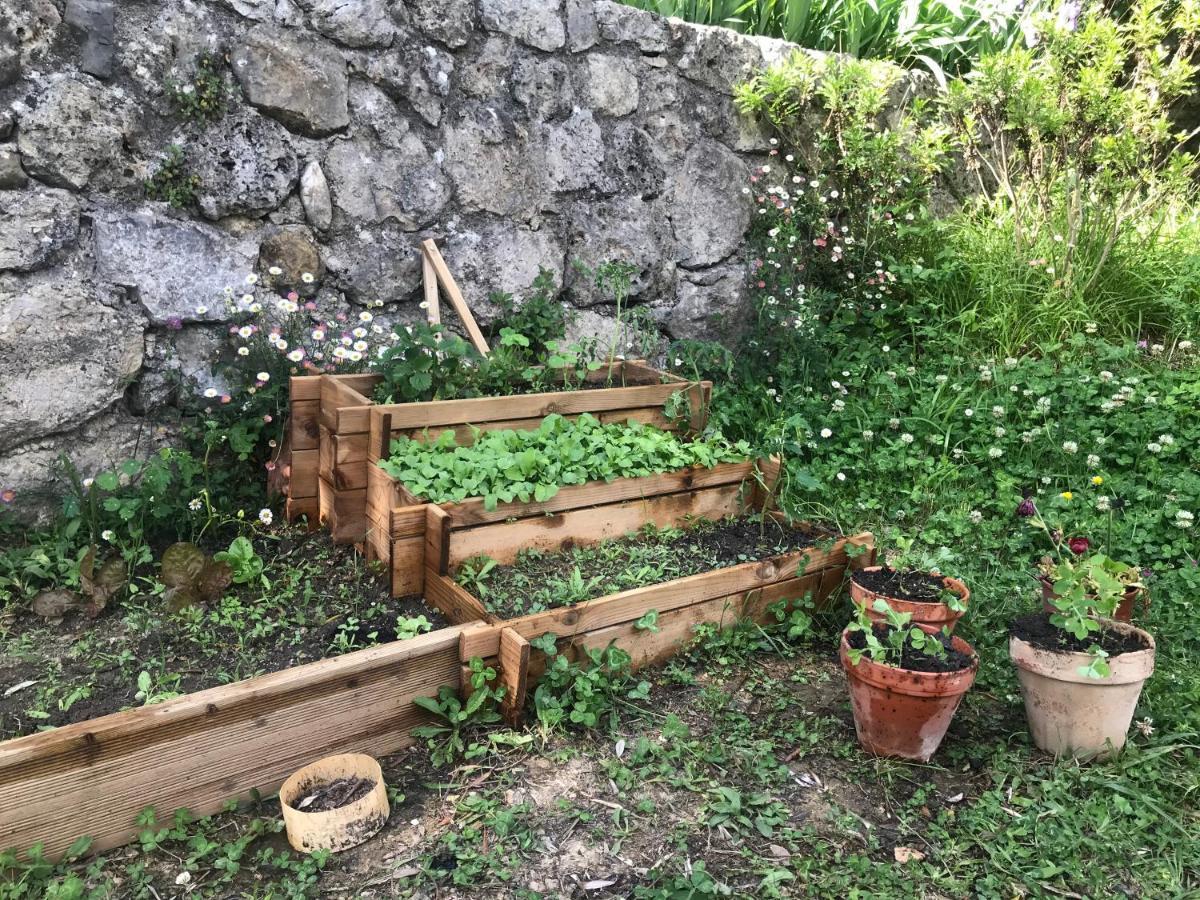Residence Lou Naouc Grasse Zewnętrze zdjęcie