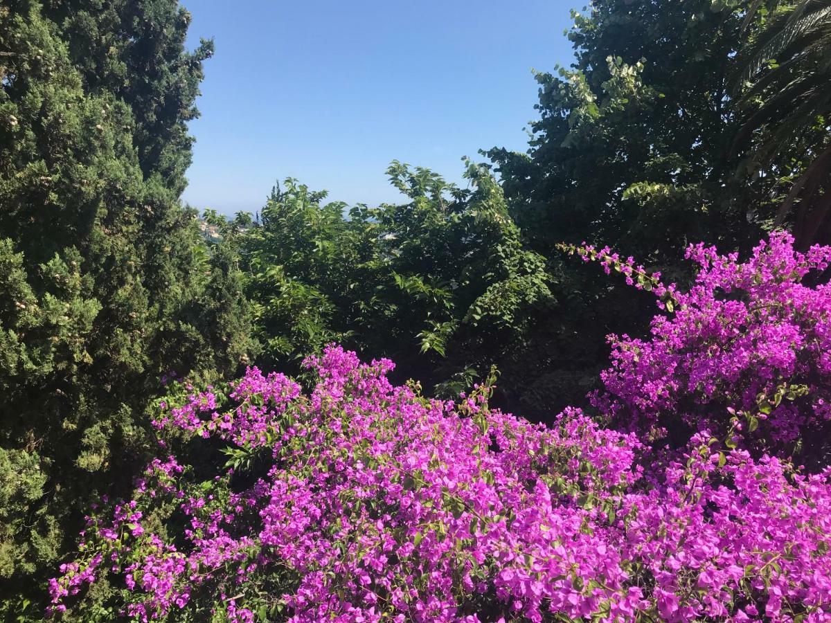 Residence Lou Naouc Grasse Zewnętrze zdjęcie